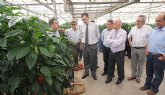La Comunidad incentiva el desarrollo de proyectos de I+D+i para mejorar la calidad de los productos hortofrutícolas de la Región