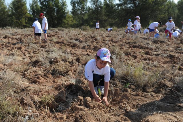 Los niños de los colegios siembran 500 pinos carrasco en los montes - 4, Foto 4