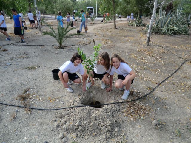 Plantación de árboles para conmemorar el Día Internacional del Medio Ambiente - 2, Foto 2