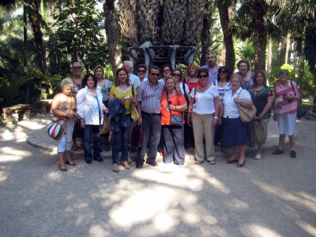 Los mayores del Taller de las Artes, de visita por los rincones de Elche - 2, Foto 2