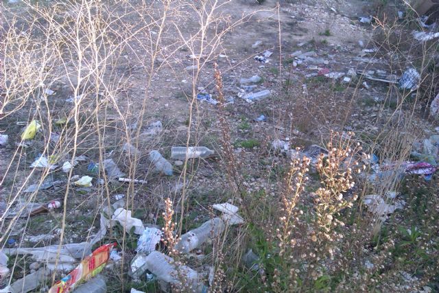 UXA pide en pleno que se luche contra la proliferación de ratas e insectos - 1, Foto 1