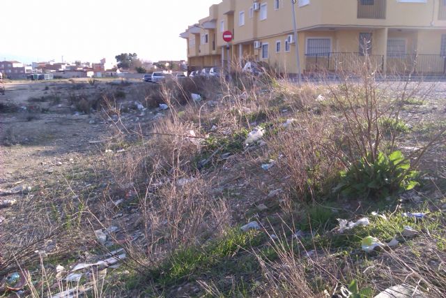 UXA pide en pleno que se luche contra la proliferación de ratas e insectos - 2, Foto 2