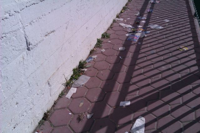 UXA pide en pleno que se luche contra la proliferación de ratas e insectos - 3, Foto 3