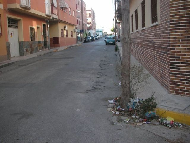 UXA pide en pleno que se luche contra la proliferación de ratas e insectos - 5, Foto 5