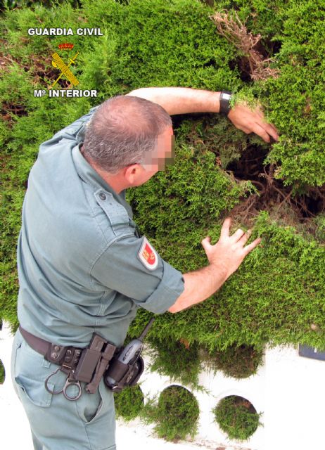 La Guardia Civil desmantela dos nuevos puntos de distribución y venta de cocaína y marihuana en San Javier - 2, Foto 2