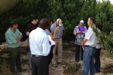 Inspectores de Sudfrica visitan la Regin para comprobar el protocolo de exportacin de fruta de hueso