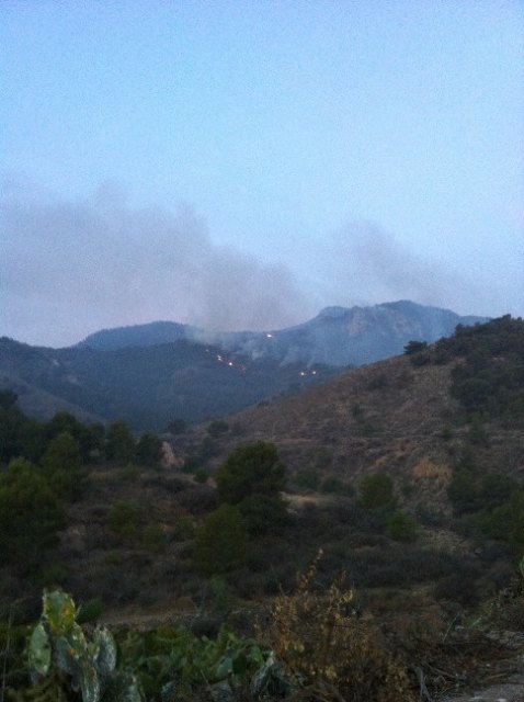 Incendio Forestal la Sierra de la Muela termino municipal de Cartagena - 4, Foto 4