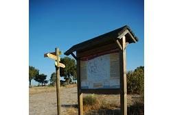 Señalización renovada en el parque municipal del Majal Blanco - 2, Foto 2