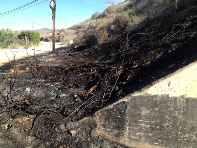 Se extingue un incendio de matorral en el camino de los Huertos Nuevos, en dirección al Polígono Industrial, Foto 2