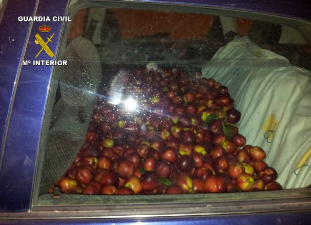 La Guardia Civil detiene a cinco personas por la sustracción de fruta en Cieza - 1, Foto 1