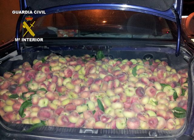 La Guardia Civil detiene a cinco personas por la sustracción de fruta en Cieza - 2, Foto 2