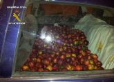 La Guardia Civil detiene a cinco personas por la sustracción de fruta en Cieza