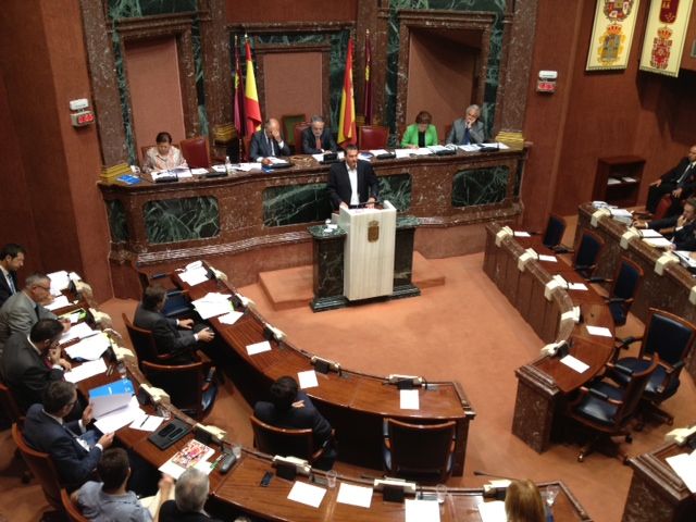 Pujante afirma que los ajustes del PP suponen un retroceso gravísimo que deteriorará más la economía - 1, Foto 1