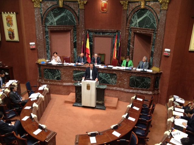 Pujante afirma que los ajustes del PP suponen un retroceso gravísimo que deteriorará más la economía - 2, Foto 2