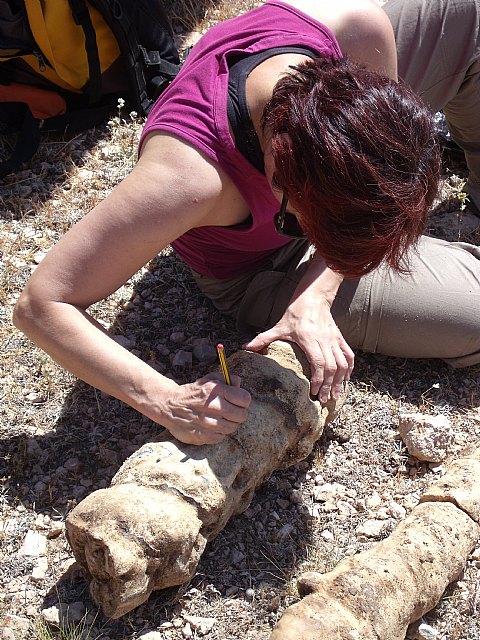 Jumilla participa en el Proyecto Cuevas - 2, Foto 2