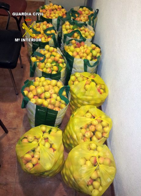 La Guardia Civil sorprende a tres personas transportando fruta sustraída en un vehículo en Jumilla - 1, Foto 1