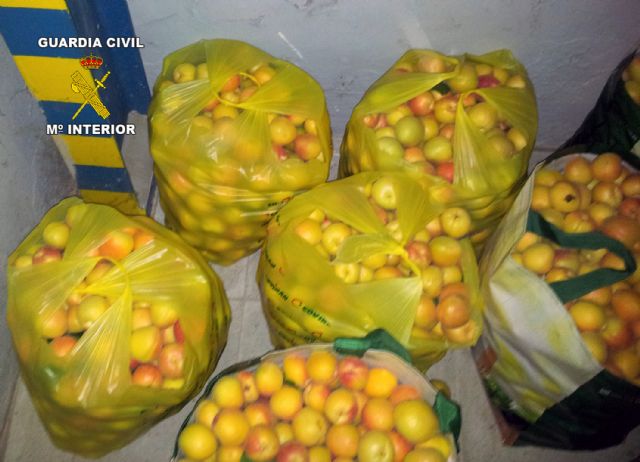 La Guardia Civil sorprende a tres personas transportando fruta sustraída en un vehículo en Jumilla - 2, Foto 2