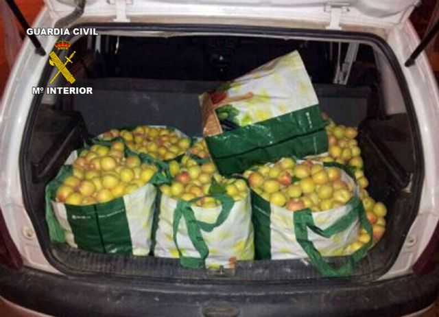 La Guardia Civil sorprende a tres personas transportando fruta sustraída en un vehículo en Jumilla - 3, Foto 3