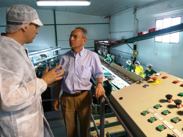 El presidente de la CHS realiza una visita a los regantes de Cieza - 1, Foto 1