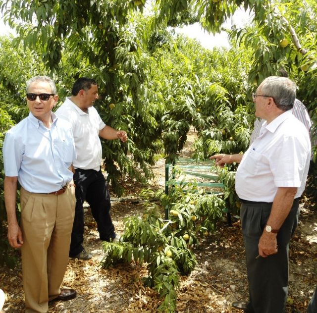 El presidente de la CHS realiza una visita a los regantes de Cieza - 2, Foto 2