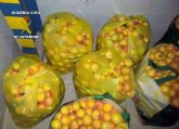 La Guardia Civil sorprende a tres personas transportando fruta sustrada en un vehculo en Jumilla