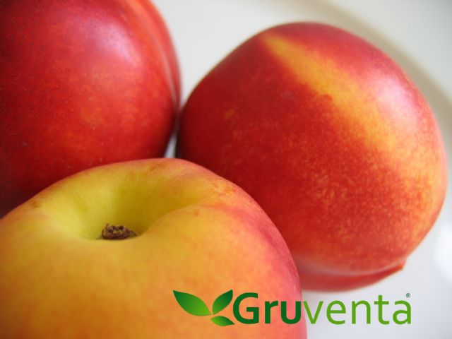 GRUVENTA valora como satisfactoria y resalta buena demanda en la campaña de fruta de hueso murciana - 1, Foto 1