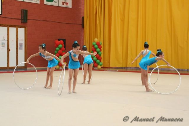 Las torreñas, terceras en la Final Regional de la Liga Escolar de gimnasia rítmica - 3, Foto 3