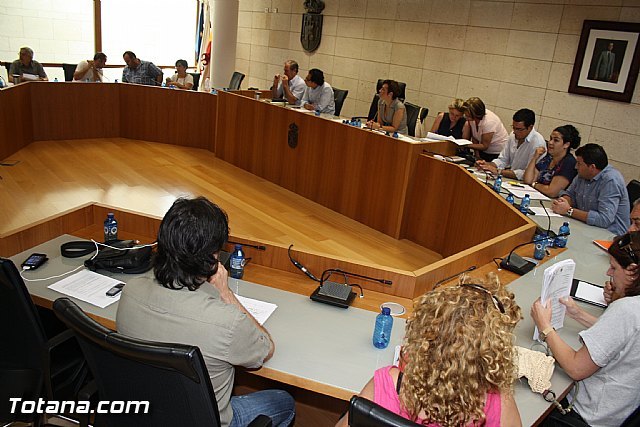 El Pleno aprueba la propuesta para instar al Ministerio de Hacienda y a la FEMP para fijar por ley las retribuciones a cargos electos en entidades locales, Foto 1