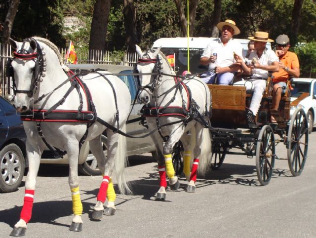 El IX encuentro de carruajes Villa de San Pedro reúne a aficionados al enganche de toda la Región - 3, Foto 3