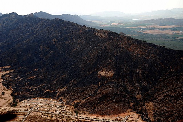 La Comunidad da por extinguido el incendio declarado en el entorno natural de Moratalla - 1, Foto 1