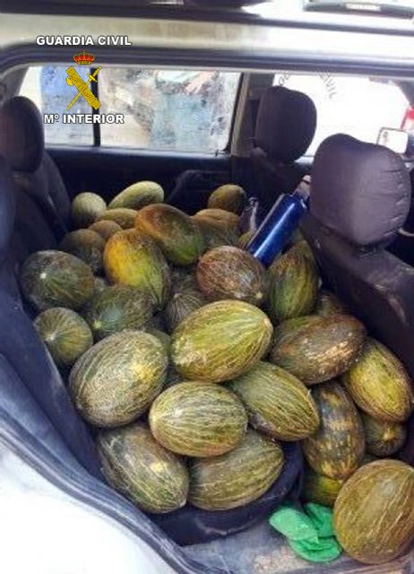 La Guardia Civil sorprende a dos personas transportando fruta sustraída en Cieza - 1, Foto 1