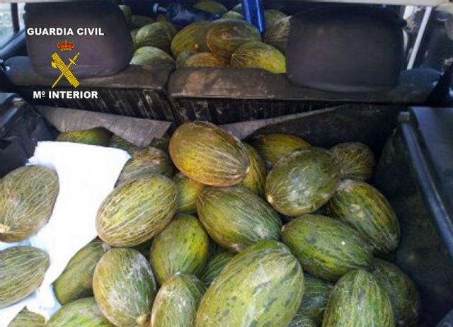 La Guardia Civil sorprende a dos personas transportando fruta sustraída en Cieza - 2, Foto 2