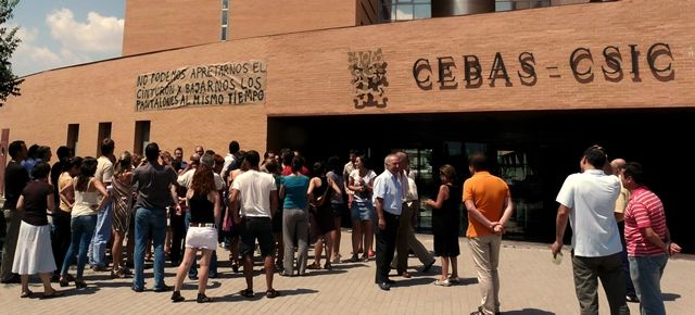 The totanero Pedro Martinez leads, along with other researchers, the "Committee of Resistance 11-CEBAS Murcia J", Foto 2