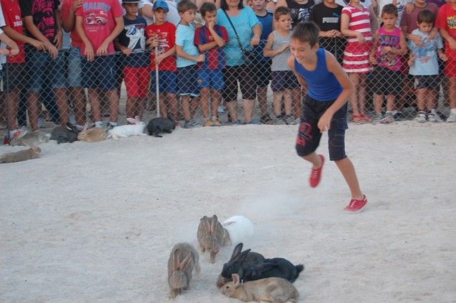El Barrio del Carmen de Alguazas pilla la liebre por quinto año consecutivo - 1, Foto 1