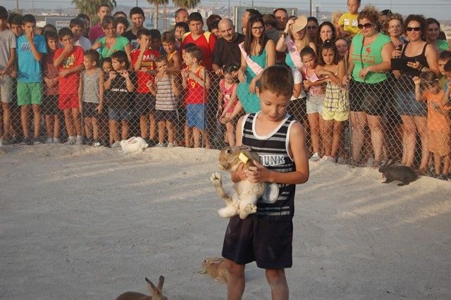 El Barrio del Carmen de Alguazas pilla la liebre por quinto año consecutivo - 2, Foto 2