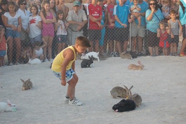 El Barrio del Carmen de Alguazas pilla la liebre por quinto año consecutivo - 3, Foto 3