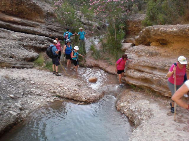 La asociación senderista Las Torres culmina  su temporada con una ruta nocturna - 1, Foto 1