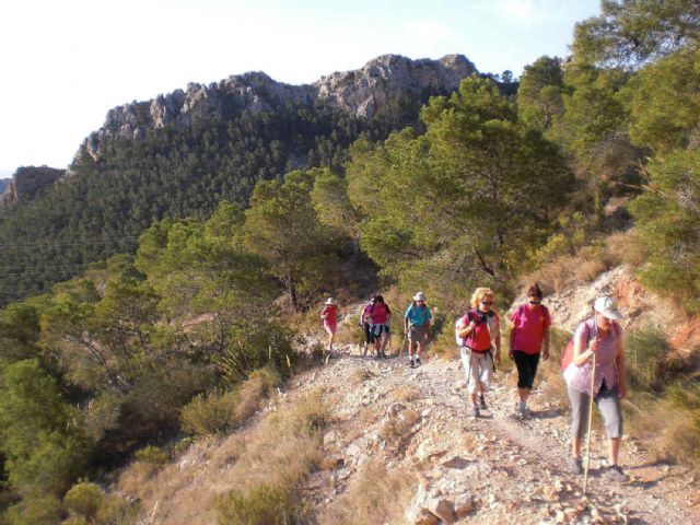 La asociación senderista Las Torres culmina  su temporada con una ruta nocturna - 5, Foto 5