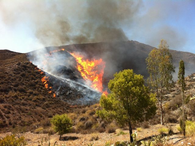 Se da por extinguido el incendio que ha quemado 35 hectáreas de monte en el paraje aguileño deLa Morra del Pan - 2, Foto 2