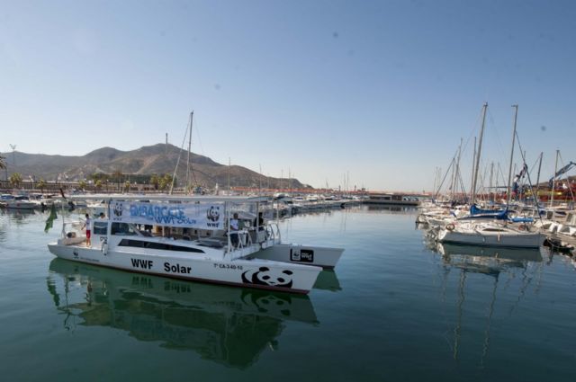 Un paraíso marino por descubrir y cuidar - 4, Foto 4