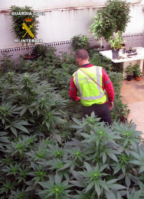 La Guardia Civil desarticula una organización criminal en Águilas - 3, Foto 3