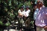 Cerdá resalta el interés del sector agrícola por introducir nuevas variedades de frutas más tempranas como demanda el mercado