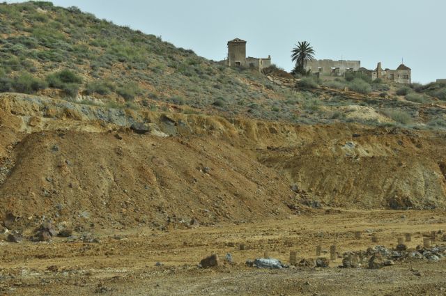 El IMIDA encuentra nuevas aplicaciones de una planta silvestre murciana en la restauración de zonas contaminadas por metales pesados - 1, Foto 1