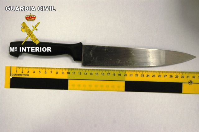La Guardia Civil detiene a los autores de un delito de lesiones con arma blanca - 1, Foto 1