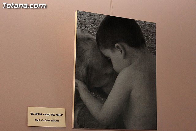 Se entregan los premios a los ganadores del certamen municipal 