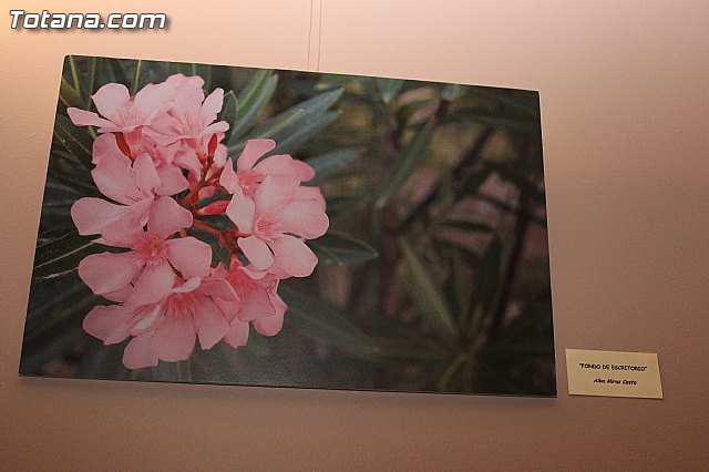 Se entregan los premios a los ganadores del certamen municipal 