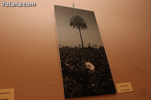 Se entregan los premios a los ganadores del certamen municipal 