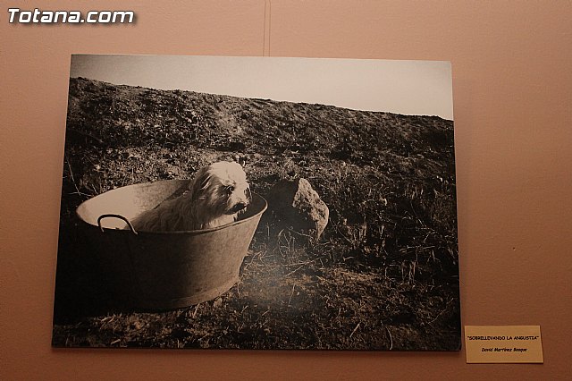 Se entregan los premios a los ganadores del certamen municipal 