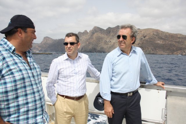 La Región de Murcia avanza en la cría en cautividad del atún rojo con nuevos resultados - 1, Foto 1