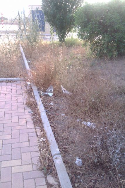 El PSOE reclama la limpieza y alumbrado de jardines en zona norte de Los Belones - 2, Foto 2